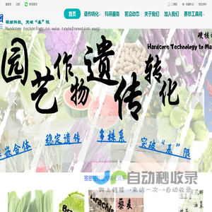 潜油往复式|螺杆式抽油泵_特种抽油泵 - 山东威马泵业股份有限公司